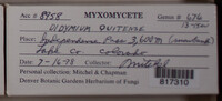 Image Associated With the Occurence